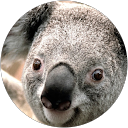 Jbgood Jbgood profile picture